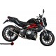 SCARICO GPR BENELLI BN 302 2017/20 E4 SCARICO OMOLOGATO CON RACCORDO DEEPTONE INOX