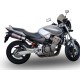 SCARICO GPR HONDA HORNET 900 2002/05 COPPIA SCARICHI OMOLOGATI CON RACCORDO GPE ANN. TITAIUM