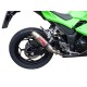 SCARICO GPR KAWASAKI NINJA 300 R 2012/16 E3 SCARICO OMOLOGATO CON RACCORDO DEEPTONE INOX