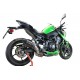 SCARICO GPR KAWASAKI Z 900 2020 E4 SCARICO OMOLOGATO CON RACCORDO FURORE EVO4 CARBON