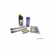 HYPERPRO Kit Molla Anteriore + Posteriore Progressive con olio APRILIA RSV 1000 R 04-10